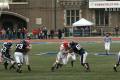 Cornell Football 08015