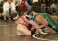 SCWregions2006