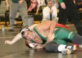SCWregions2007