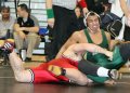 SCWregions2009