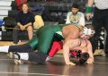 SCWregions2010