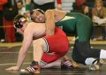 SCWregions2011