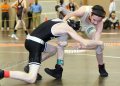 SCWdistricts001