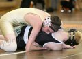 SCWdistricts004