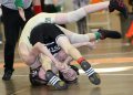 SCWdistricts010