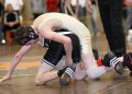 SCWdistricts012
