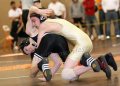 SCWdistricts014