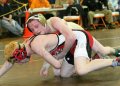 SCWdistricts030