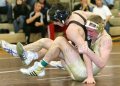 SCWdistricts070