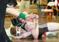 SCWdistricts071