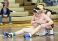 SCWdistricts080
