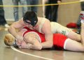 SCWdistricts110