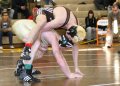 SCWdistricts111