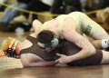 SCWdistricts120