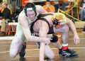 SCWdistricts131
