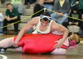 SCWdistricts134