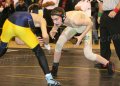 SCWregions001(1)
