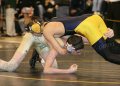 SCWregions003