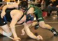 SCWregions018