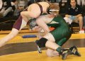SCWregions025