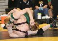 SCWregions029