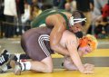 Regions 3003