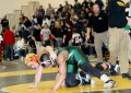 Regions 3008