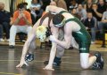 Regions 3014