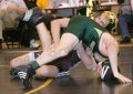 Regions 3017
