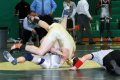 SCW vs TCreek025