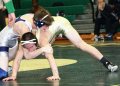 SCW vs TCreek041