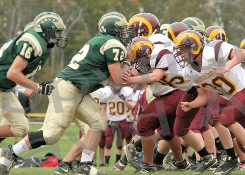 Glcath_JV125