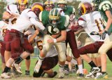 Glcath_JV007