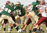 Glcath_JV008