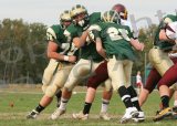 Glcath_JV009