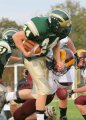 Glcath_JV019