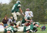 Glcath_JV124