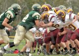 Glcath_JV125