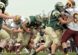 Glcath_JV137