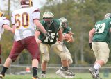 Glcath_JV140