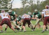 Glcath_JV142