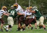 Glcath_JV157