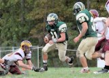Glcath_JV163
