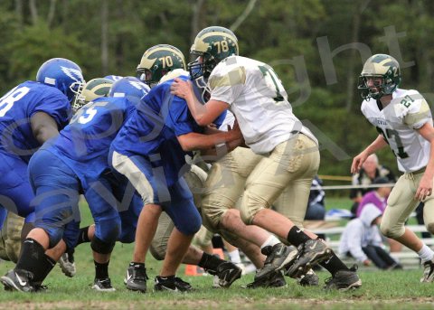 PVI_JV006