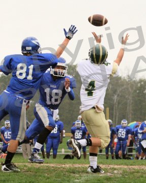 PVI_JV024