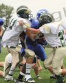 PVI_JV007