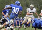 PVI_JV045