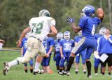 PVI_JV050