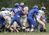 PVI_JV059