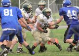 PVI_JV100